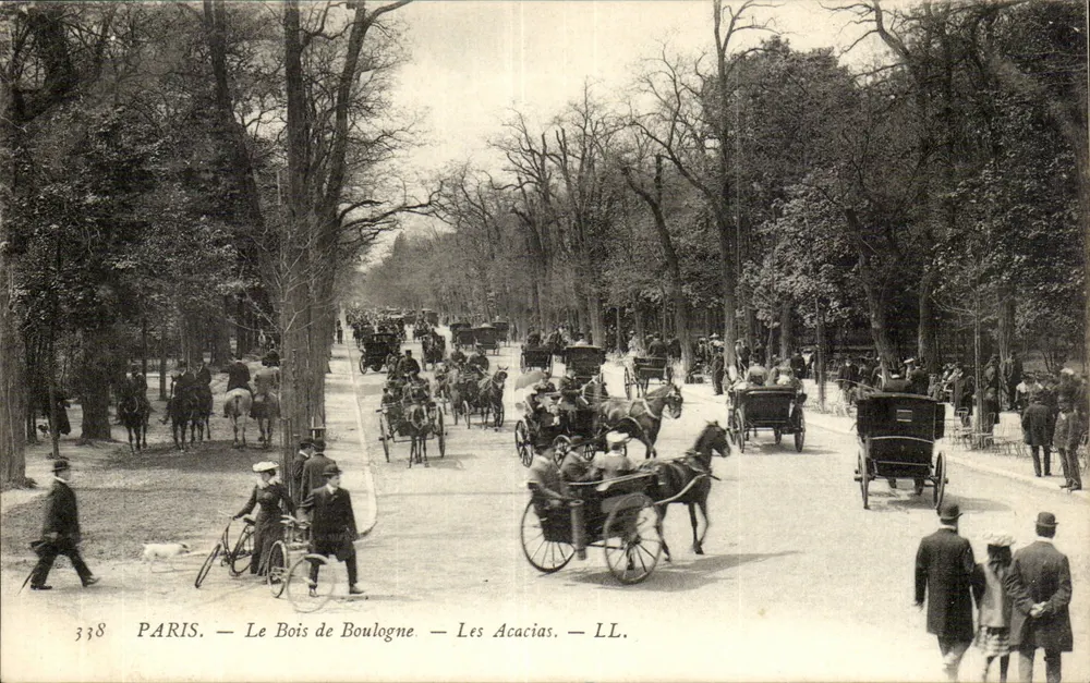 Paris — Der Bois de Boulogne — Les Acacias — LL. — n° 338 - Vorderseite