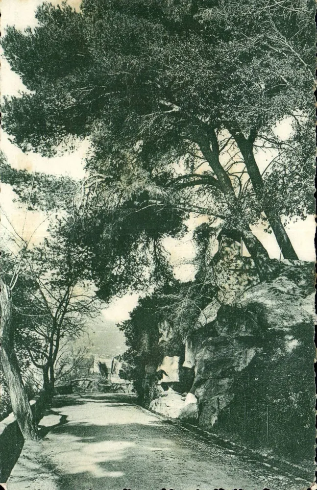 Nice — Avenida do Velho Castelo — Editor: Bureau das Cartas Postais - Frente