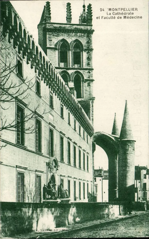 Montpellier — Kathedrale und Medizinische Fakultät — Verlag Vues de France, Nr. 24 - Vorderseite