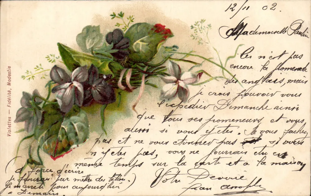 Violette — Treue, Bescheidenheit — Chocolat Payraud, Lyon - Vorderseite