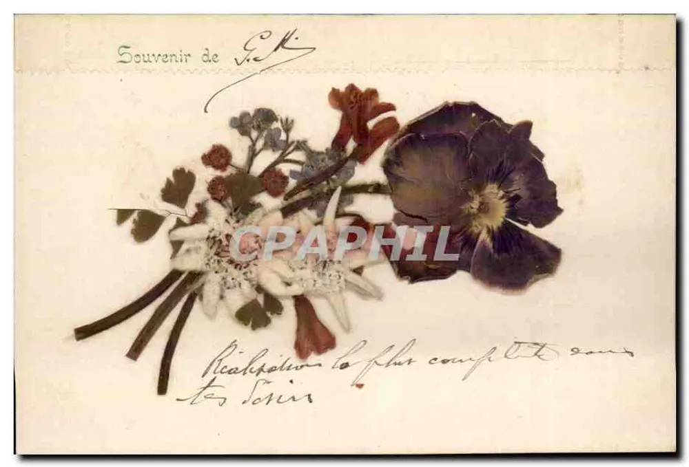 Bouquet hoa khô — Kỷ niệm của V.K. — Ernst Unkel, Düsseldorf - Mặt trước