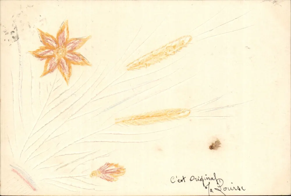 Flores e espigas — desenho a ocre — editor desconhecido, número de série não visível - Frente