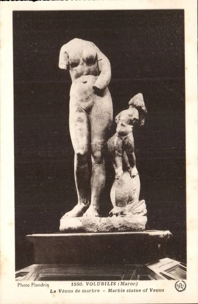 La Venere in marmo – Volubilis (Marocco) — Foto Flandrin, n° 1550 - Recto