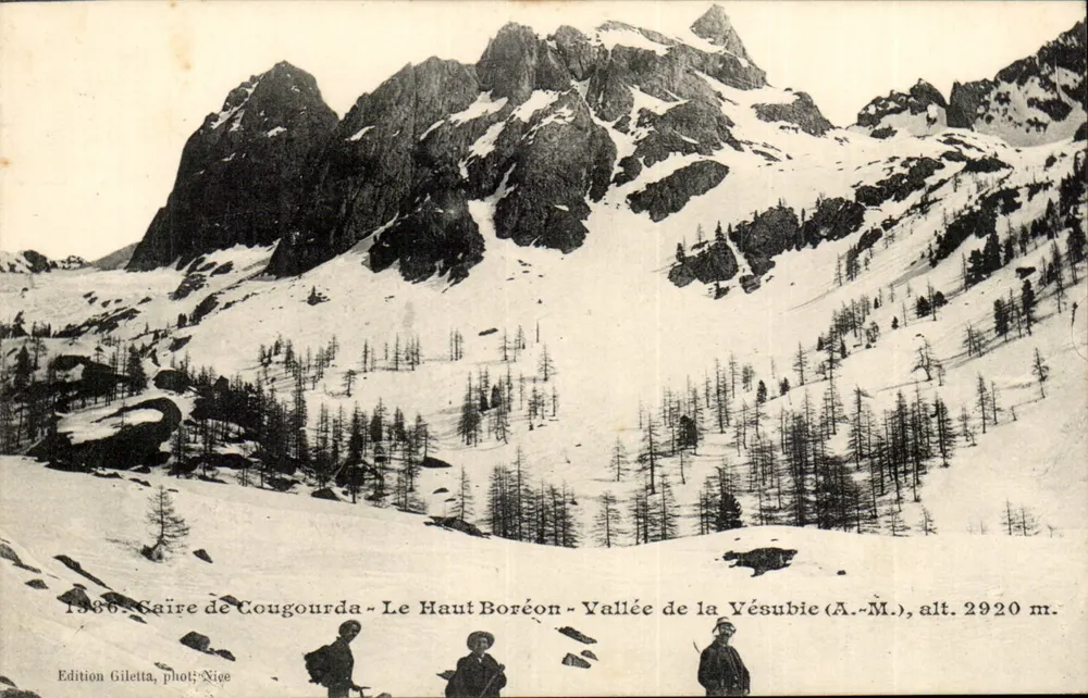 Saire de Cougourda - Le Haut Boréon - Vallée de la Vésubie (A.-M.), alt. 2920 m. — Edition Giletta, phot. Nice - Recto