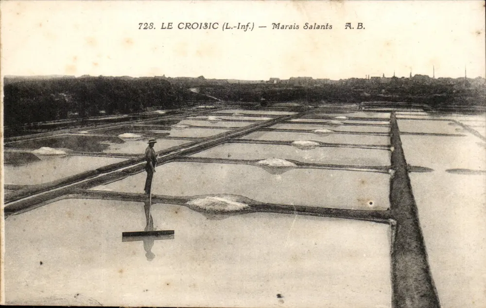 Le Croisic (L.-Inf.) — Marais Salants — A.B. - Frente