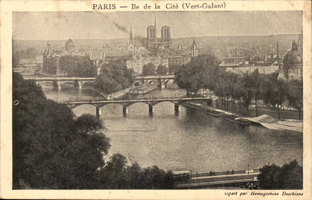Paris — Ilha da Cidade (Vert-Galant) — Vista por Hémoglobine Deschiens - Frente