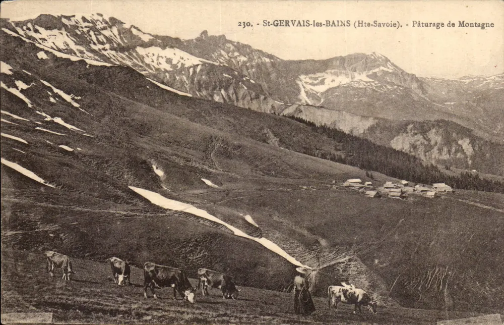 St-GERVAIS-les-BAINS (Hte-Savoie) — Bergweide — L. Fauraz, Verlag - Vorderseite