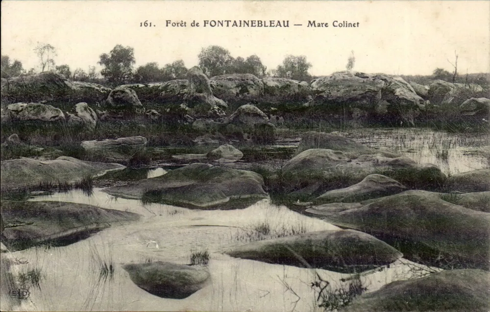 Floresta de FONTAINEBLEAU — Mare Colinet — Editor : - Frente