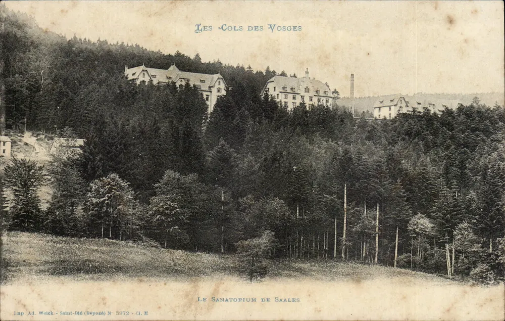 Os Cols dos Vosges — O Sanatório de Saales — Lap. Ad. Weleck, N° 3972 - Frente