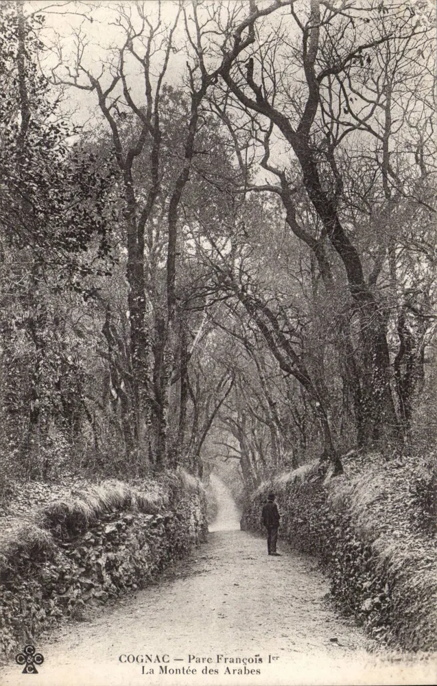 COGNAC — Wald von Franz I — Die Arabersteigung - Vorderseite