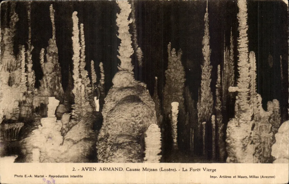 Aven Armand, Causse Méjean (Lozère) — A Floresta Virgem — Foto E.-A. Martel, Impr. Artières et Maury, Millau (Aveyron) - Frente