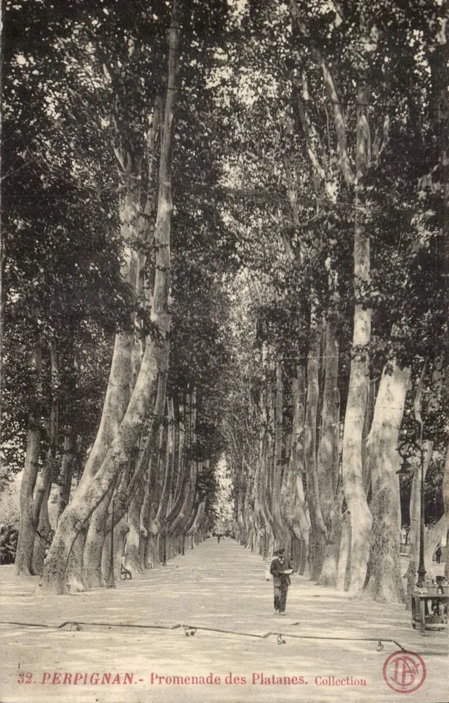 Perpignan - Promenade dos Platanes — Coleção JB, n°32 - Frente