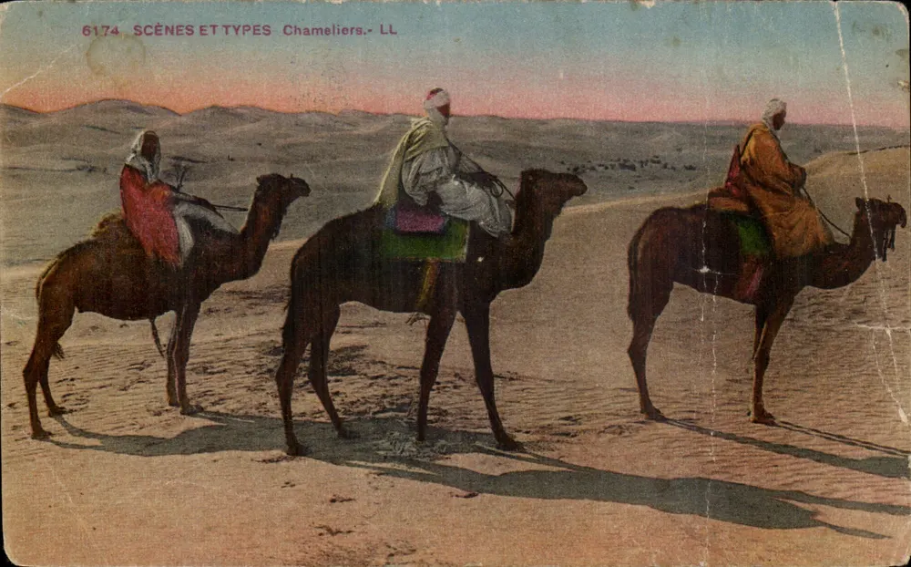 Camelários — Cenas e Tipos — LL, n° 6174 - Frente
