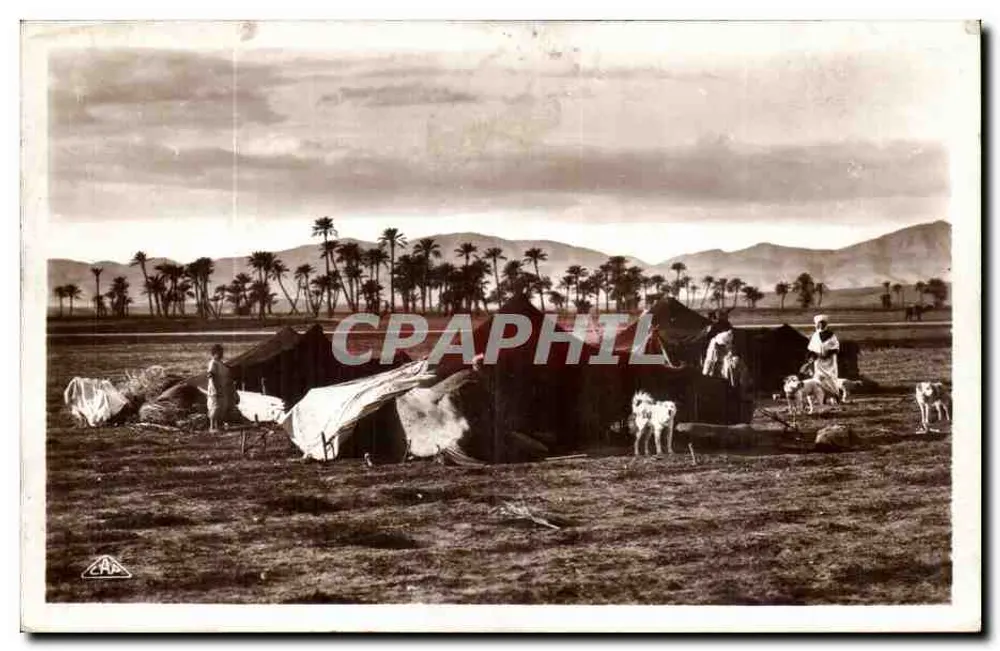 Campowanie nomadów — Algieria — wydawca REAL PHOTO C.A.P. nr 1138 - Awers