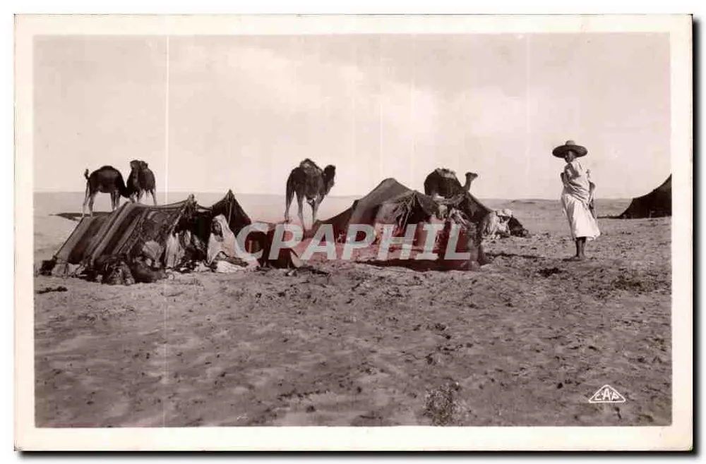 Campamento de Nômades — Argélia — editor G. A. P. Strasbourg, n° 1346 - Frente