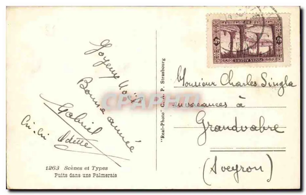 Pozo en una palmera — Argelia — 'Real-Photo' C.A. P. Strasbourg n°1263 - Reverso