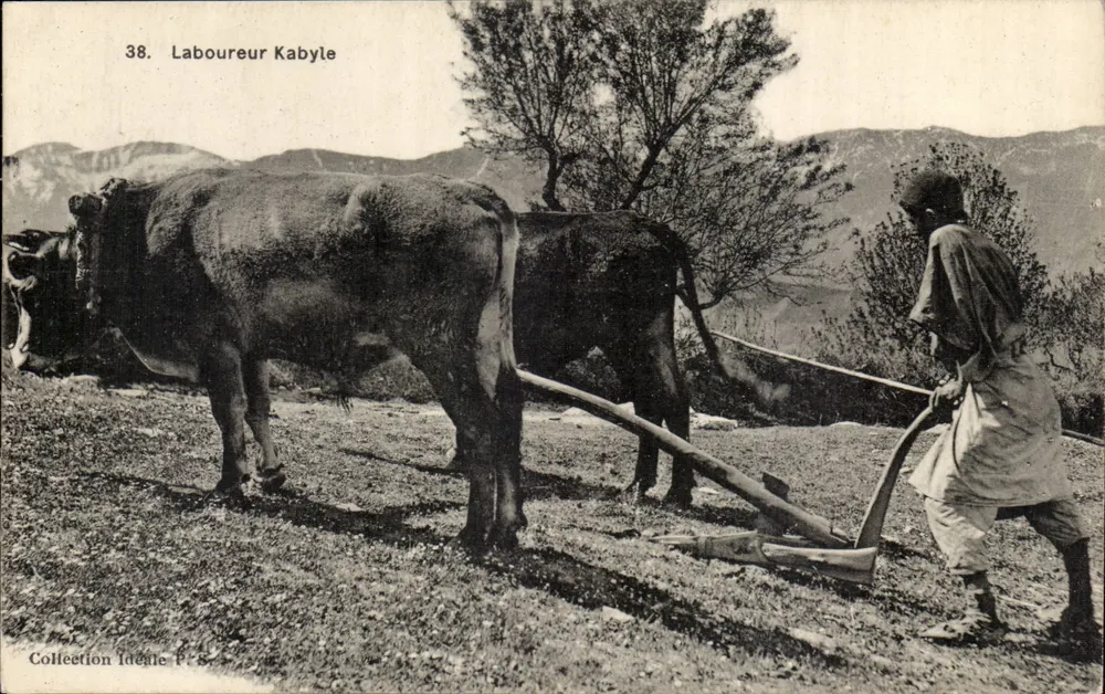 Trabalhador Kabyle — Coleção Ideal P. S. — n°38 - Frente