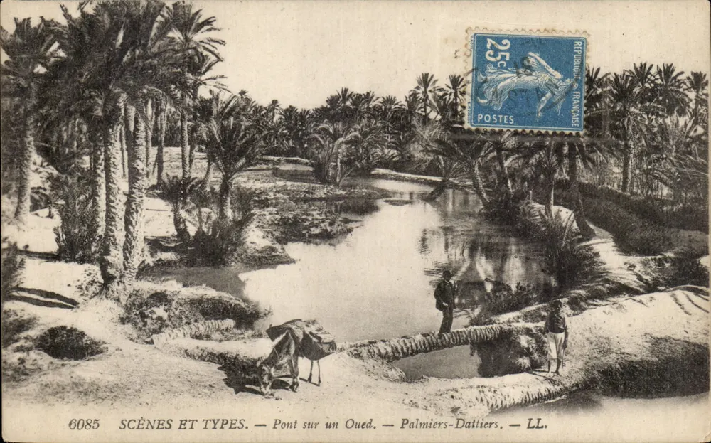 Brücke über einen Wadi — Dattelpalmen — LL. — Szenen und Typen — n° 6085 - Vorderseite