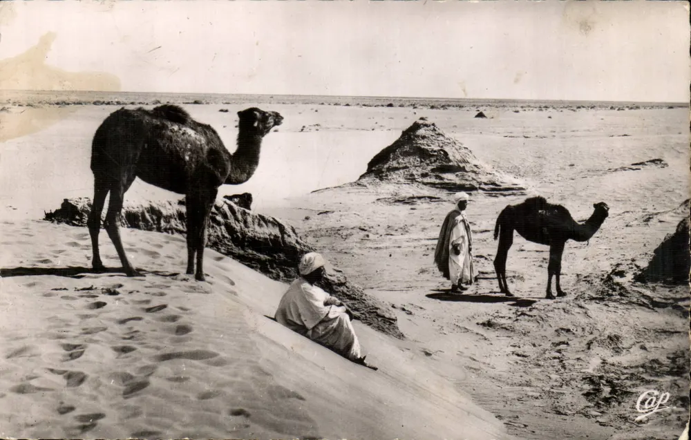 Sahara-Landschaft im Wüsten — Szenen und Typen — Cie des Arts Photographiques, Paris - Vorderseite