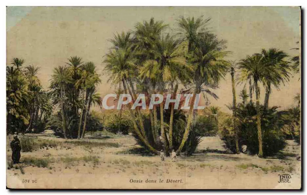 Oásis no Deserto — Editor JND Phot. — N° 324 TC - Frente