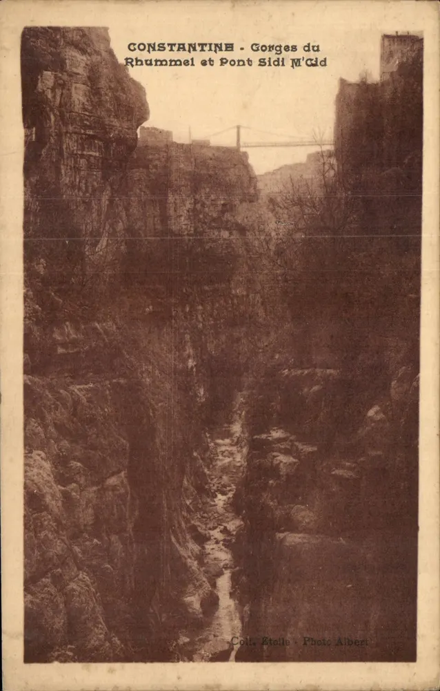 Constantine - Schluchten des Rhummel und Brücke Sidi M'cid — Photo Albert, Coll. Stalle - Vorderseite