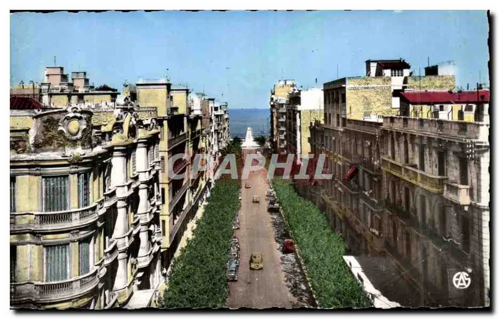 Oran — Avenue Loubet — Editions Alexandre SIRECKY - Vorderseite