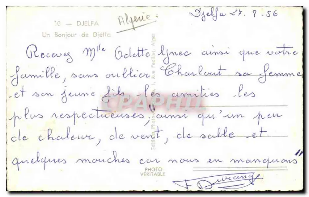 Djelfa — Un Bonjour de Djelfa — Edizione Alpérie - Verso