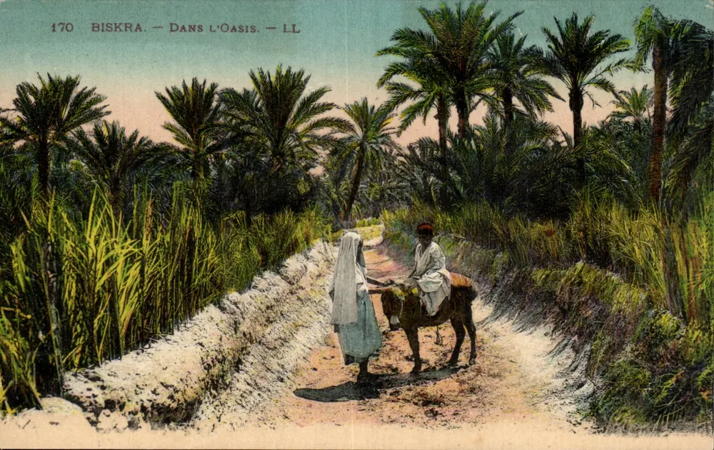 Biskra — In der Oase — LL - Vorderseite