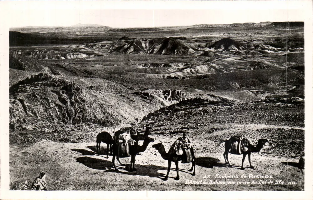 Wüste Sahara — Umgebung von Biskra — Aufnahme vom Sfa-Pass — n°45 - Vorderseite