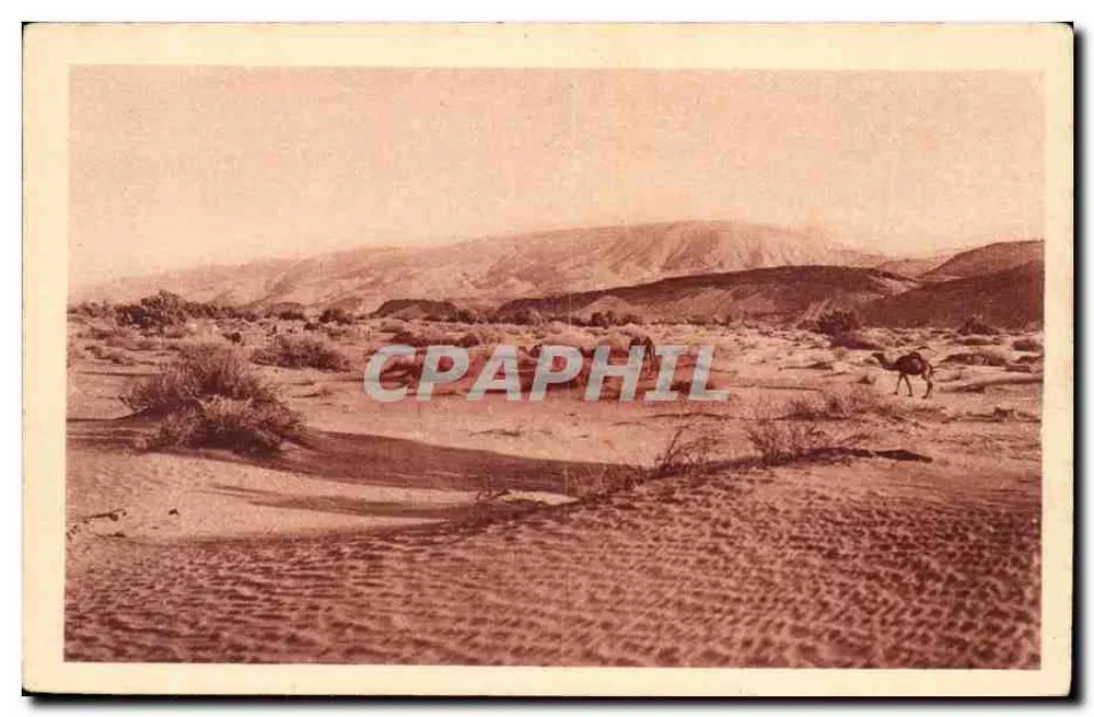 Argélia — paisagem desértica com camelo — Região de In Belrem - Frente