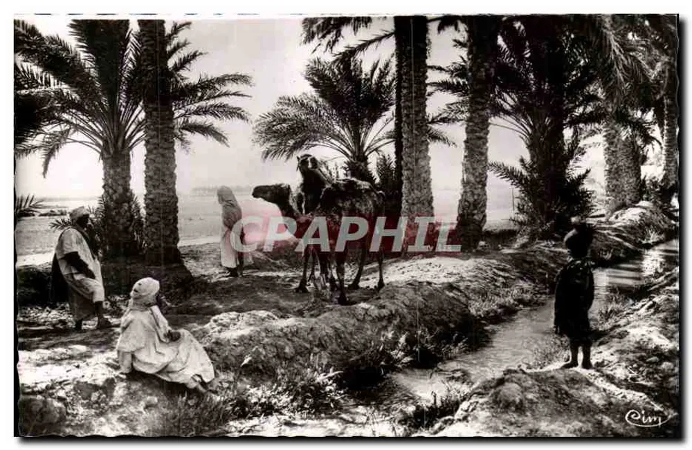 Biskra (Constantine) — Na Oasis — Foto Cohibier Macon, n°823 - Frente