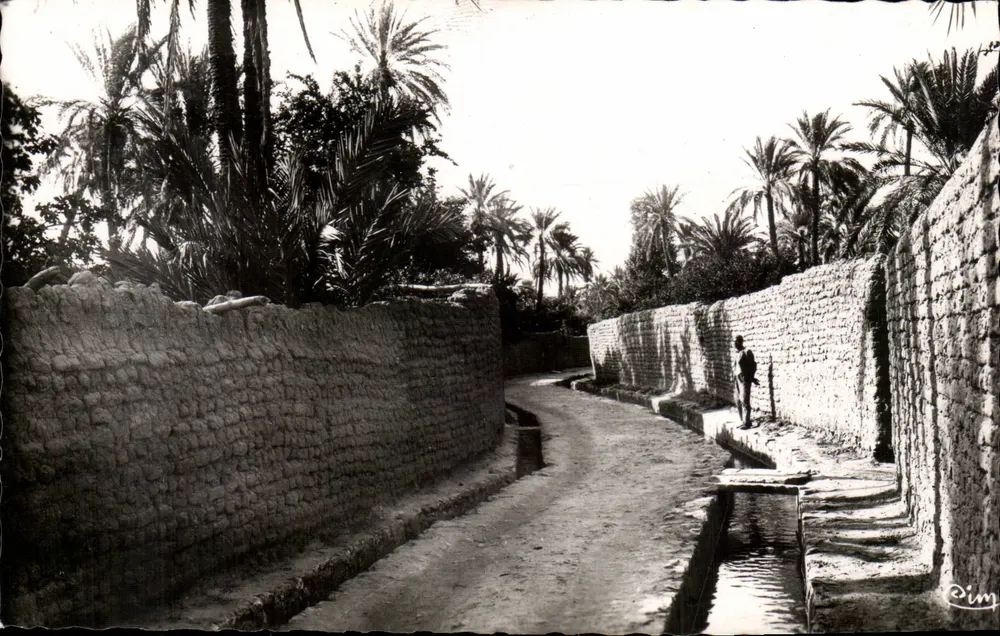 Biskra (Constantine) — Uma rua de Bab-Darb — Foto Coulier Macon - Frente