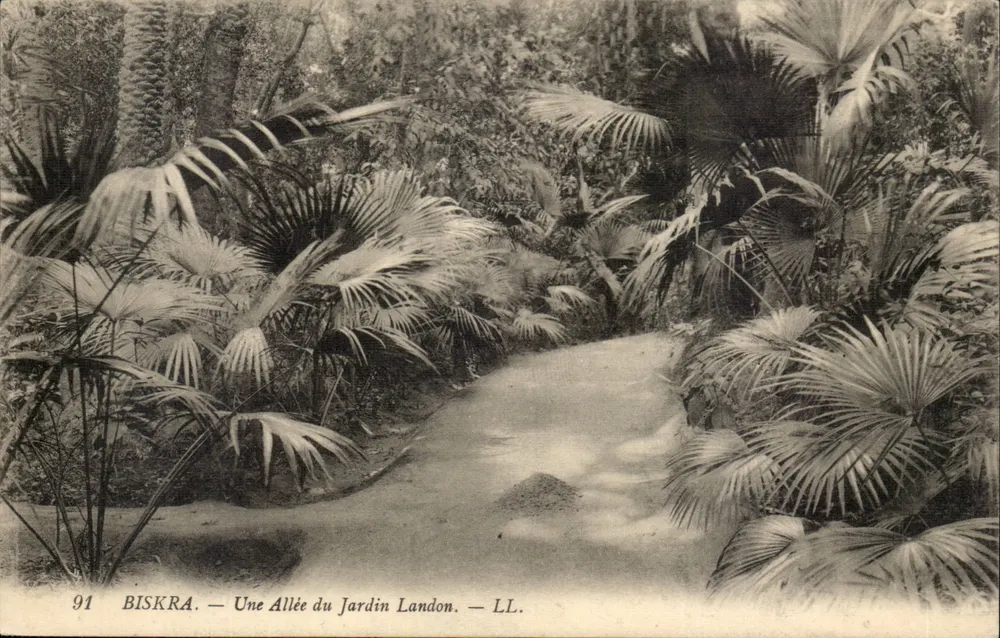 Biskra — Ein Weg im Landon-Garten — LL. n°91 - Vorderseite