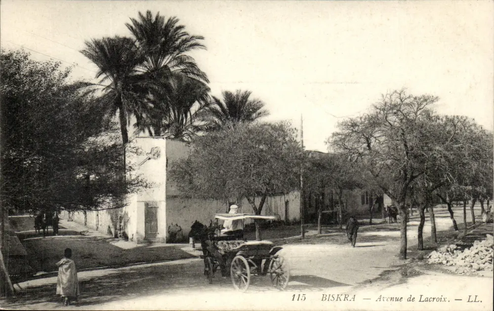 Biskra — Avenida de Lacroix — LL. n°115 - Frente