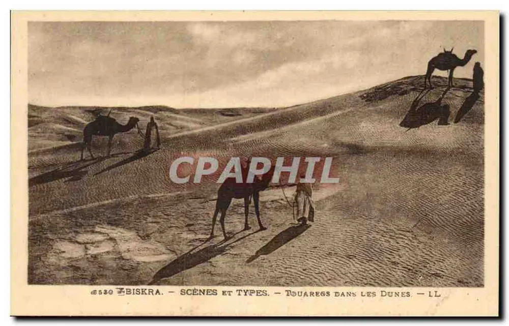Biskra - Szenen und Typen - Tuaregs in den Dünen - LL - Vorderseite