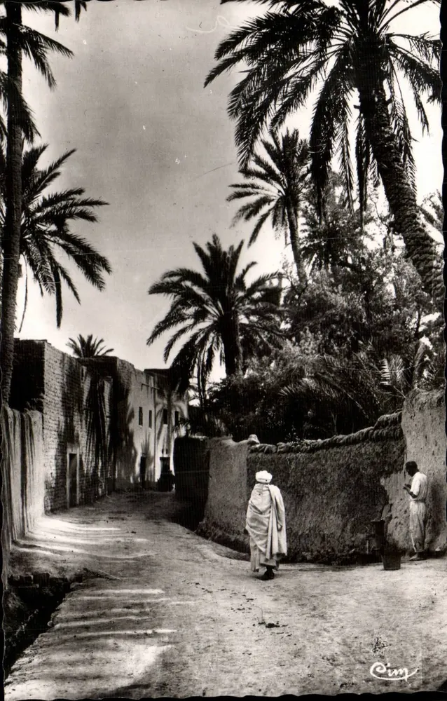 Biskra (Constantine) — Velha Biskra — Cimy - Frente