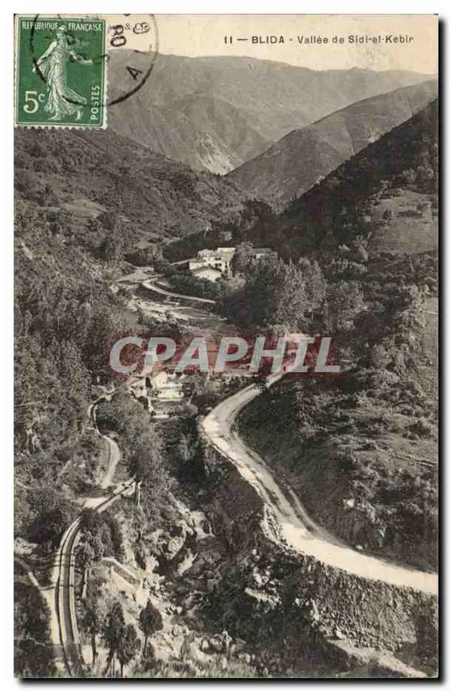 Blida - Tal von Sidi-el-Kebir — Panoramablick — Verlag nicht sichtbar - Vorderseite