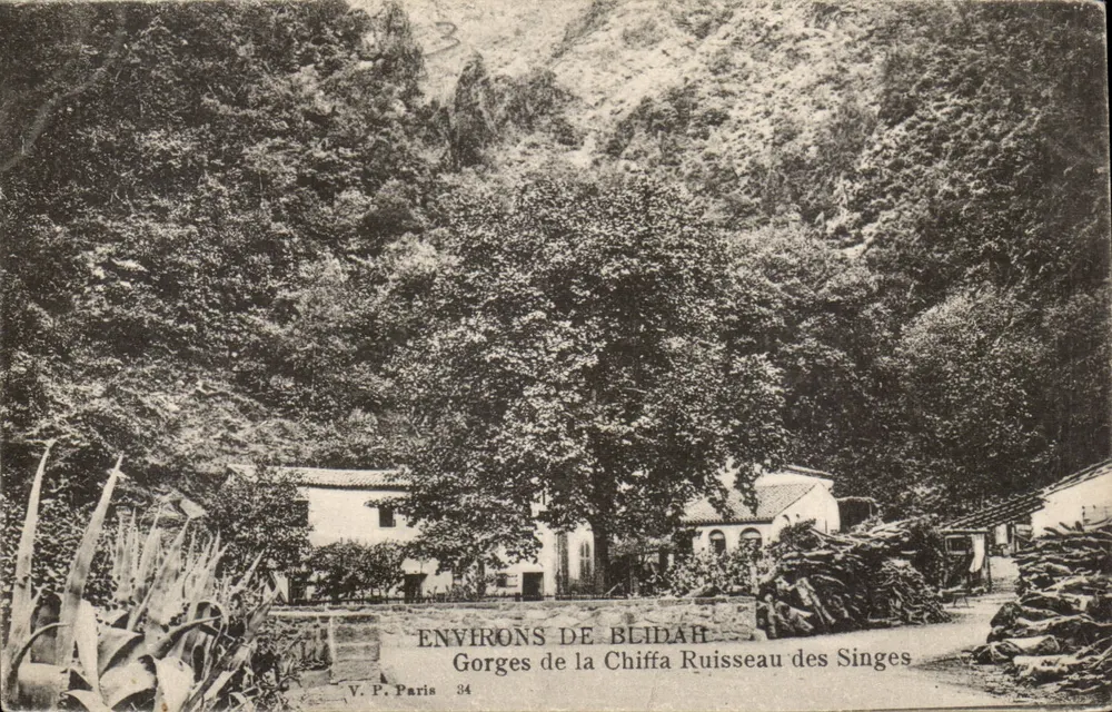 Gorges de la Chiffa — Ruisseau des Singes — Umgebung von Blidah — V.P. Paris 34 - Vorderseite