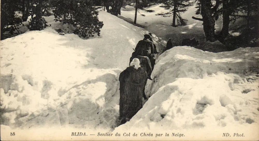 Blida — Weg zum Chréa-Pass durch den Schnee — ND. Phot. - Vorderseite