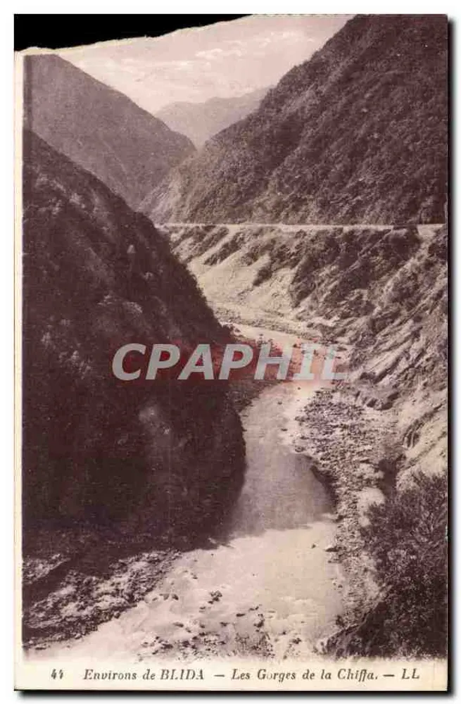 Environs de BLIDA — Les Gorges de la Chiffa — LL - Recto