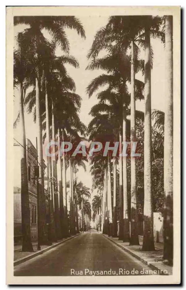 Rua Paysandu, Rio de Janeiro — Ansicht einer Straße, gesäumt von Palmen — Verlag J. S. Alfonso, Nr. 90 - Vorderseite