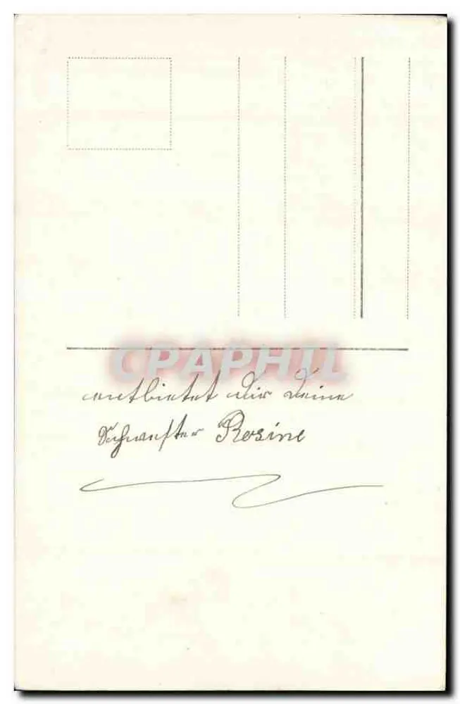 Blühender Baum — Dornenbusch oder Kirschbaum in Blüte — Verleger Schmaya, n° 64495/2 - Rückseite