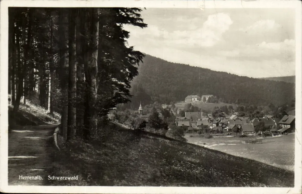 Herrenalb — Schwarzwald — Kunstverlag Peters, St 8110 - Recto