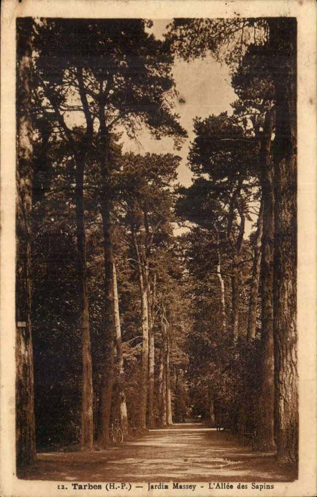 Tarbes (H.-P.) — Garten Massey — Die Tannenallee - Vorderseite