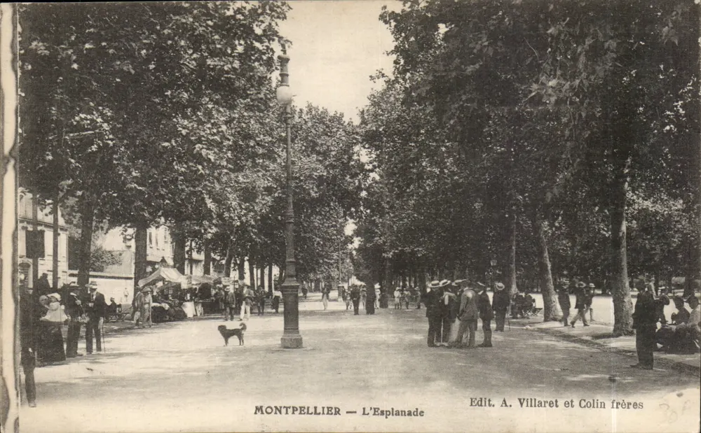 Montpellier — L'Esplanade — Edit. A. Villaret et Colin frères - Frente