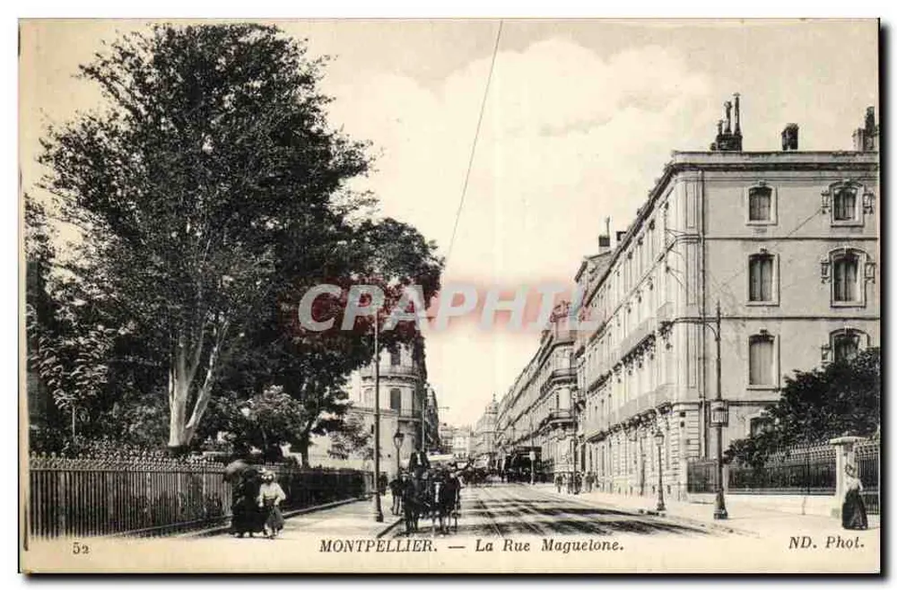 Montpellier — A Rue Maguelone — ND. Phot. - Frente