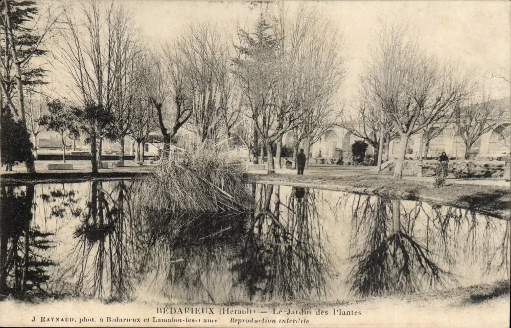 Bédarieux (Hérault) — Der Botanische Garten — J. Raynaud, Fotografie von Bédarieux und Lamalou-les-Bains - Vorderseite