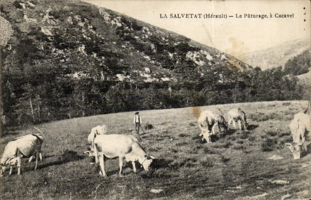 La Salvétat (Hérault) — Le Pâturage, à Cacavel — Verlag Guiraud - Vorderseite