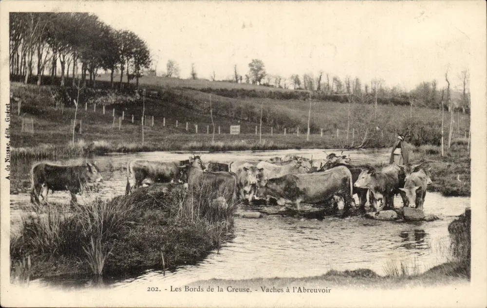 Die Ufer der Creuse — Kühe am Brunnen — A. de Nussere, Verlag Girdret, Nr. 202 - Vorderseite