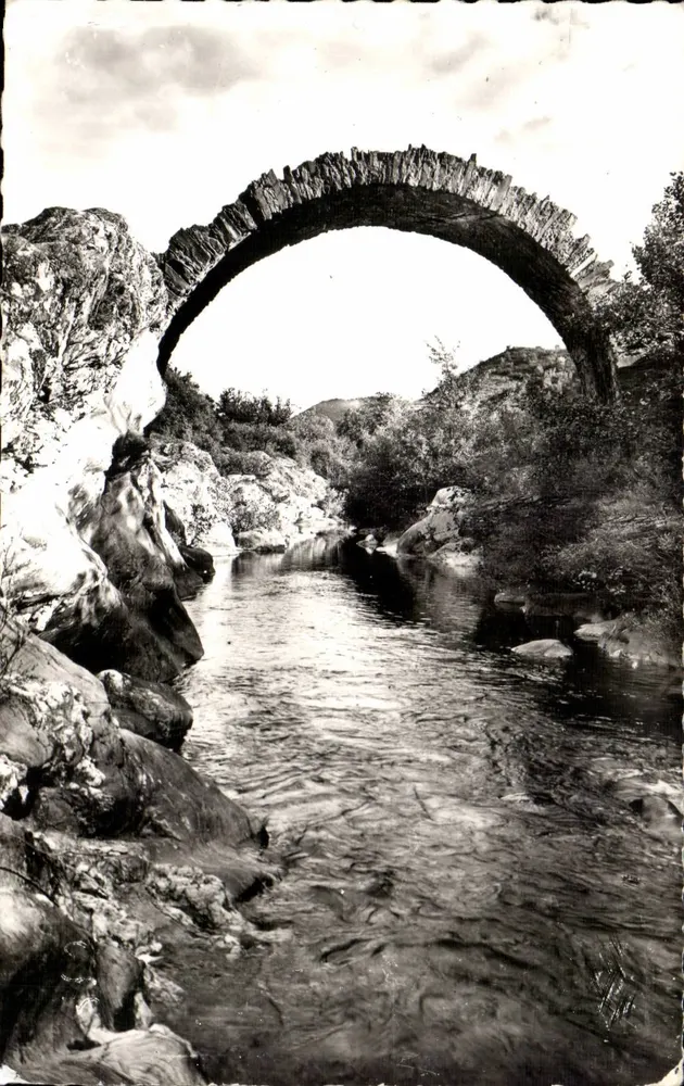 Pont des Chèvres — Umgebung von St-Jean-du-Gard — Éditions S.L. Lyon - Vorderseite